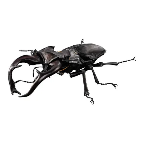 ユダイクスミヤマクワガタ